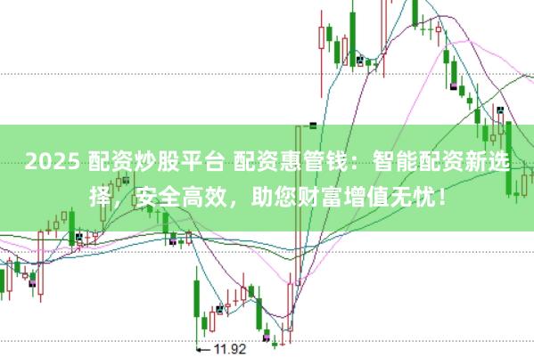 2025 配资炒股平台 配资惠管钱：智能配资新选择，安全高效，助您财富增值无忧！