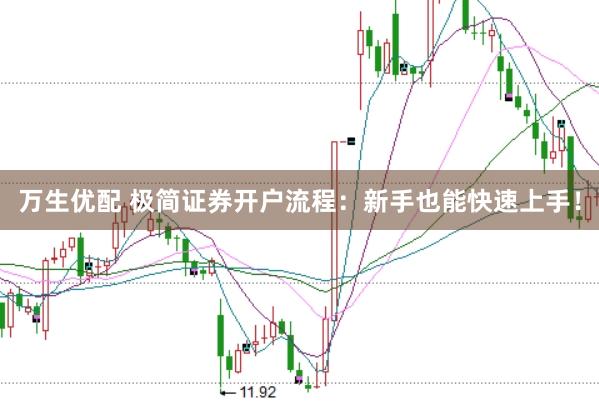 万生优配 极简证券开户流程：新手也能快速上手！