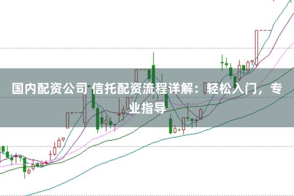 国内配资公司 信托配资流程详解：轻松入门，专业指导