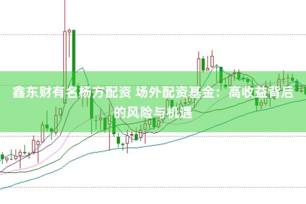 鑫东财有名杨方配资 场外配资基金：高收益背后的风险与机遇