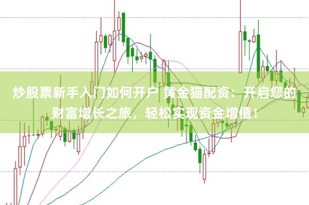 炒股票新手入门如何开户 黄金猫配资：开启您的财富增长之旅，轻松实现资金增值！
