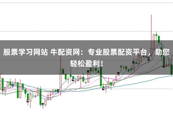 股票学习网站 牛配资网：专业股票配资平台，助您轻松盈利！