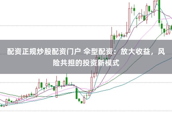 配资正规炒股配资门户 伞型配资:放大收益,风险共担的投资新模式