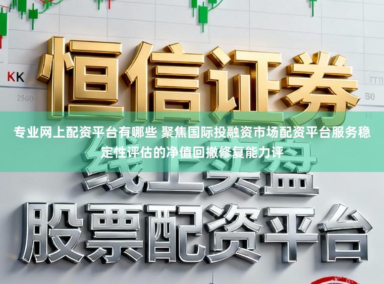 专业网上配资平台有哪些 聚焦国际投融资市场配资平台服务稳定性评估的净值回撤修复能力评