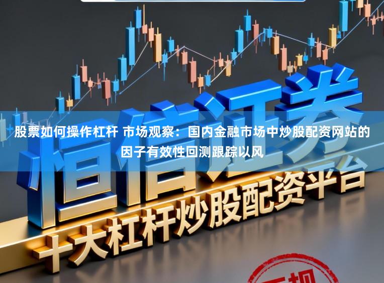 股票如何操作杠杆 市场观察：国内金融市场中炒股配资网站的因子有效性回测跟踪以风