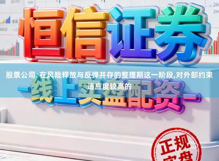 股票公司  在风险释放与反弹并存的整理期这一阶段，对外部约束适应度较高的