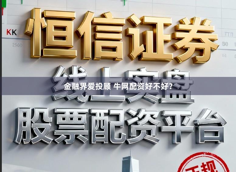 金融界爱投顾 牛网配资好不好?